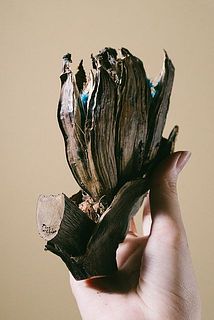 形には個体差がございます。