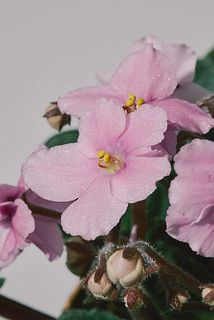 キラッキラで可愛いです♡