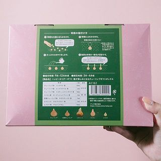 裏面には植え付け方の記載があります。