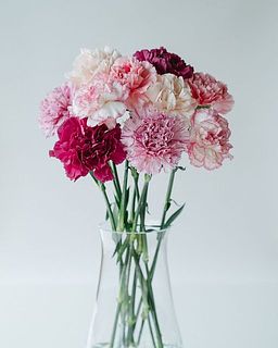 花器に飾るとこんな感じになります。