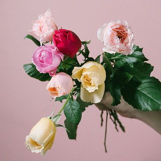 しなやかに動きがあります🌹