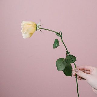 ゆらゆらと揺れるのもかわいらしい。