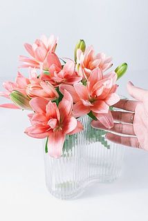 1輪に2〜3輪ほどついています。茎の長さは短め30cmほどでお届け。花器「ウェーブ」との相性抜群です。