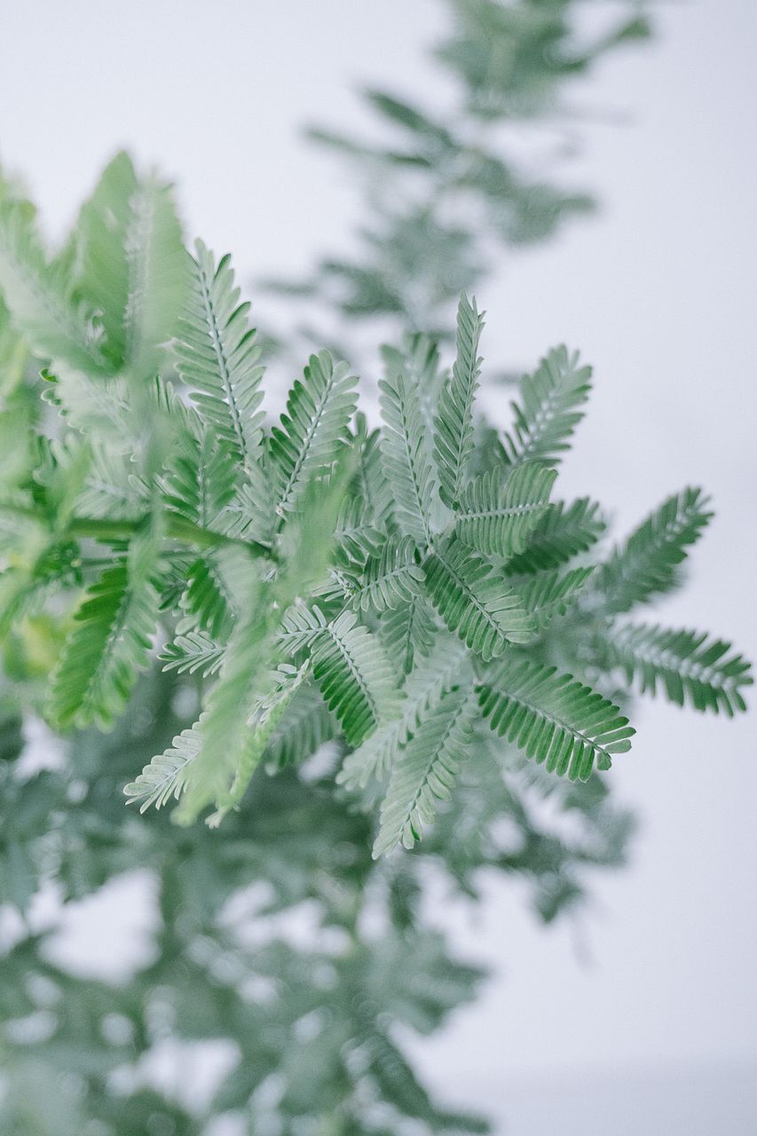 large_7f000101-0ef6-4856-acc3-