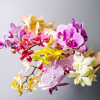 どんな種類かお楽しみに💗
