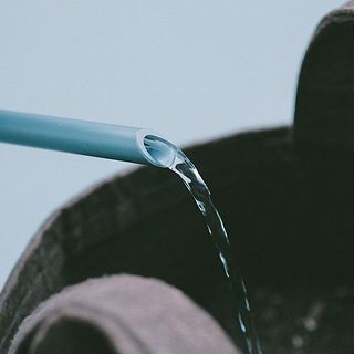 鉢底から流れ出るくらい、たっぷりと水をあげます。お水を切らさないよう毎日与えましょう。