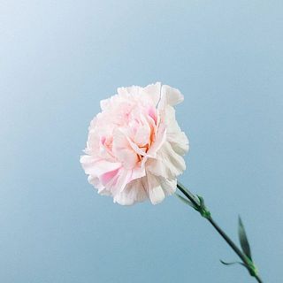 ほんのり入った絞り模様がおしゃれ。