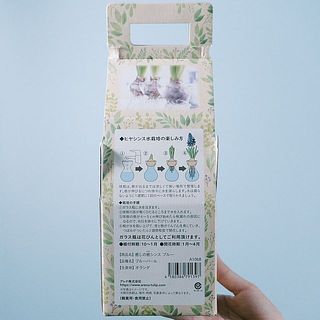 裏面には楽しみ方の説明付きです。