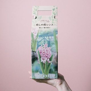 ピンク
