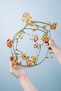 とてもしなやかな茎。丸くしてリースにも活用できます。