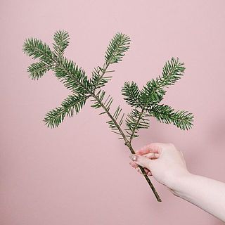 枝つきには個体差があります。