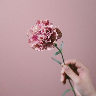 カーネーション「バビロン」