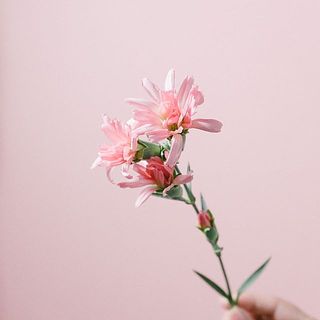 ミニティアラピンク