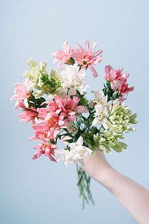 蕾のものもありますが、どんどん咲き開いてきます。