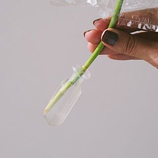 1本ずつ保水してお届けします。