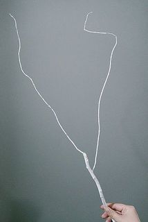 枝ぶりには個体差があります。