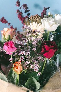 お届けイメージ