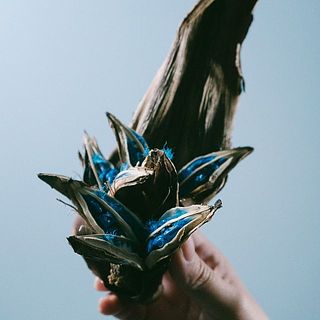 形、実付きには個体差があります。