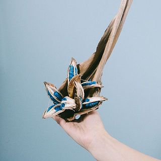 形、実付きには個体差があります。