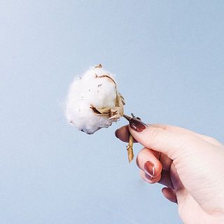 コットンもこのくらい短くカットしましょう。