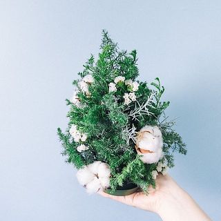 コットンは下のほうにに刺すとバランスが良くなります。