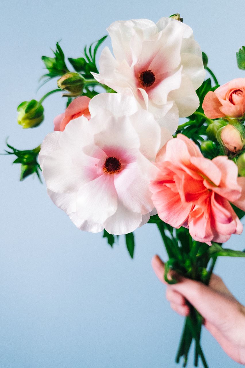 シルクの花びら「つやつやラナンキュラス」