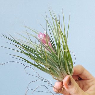 参考：1つのボリューム感