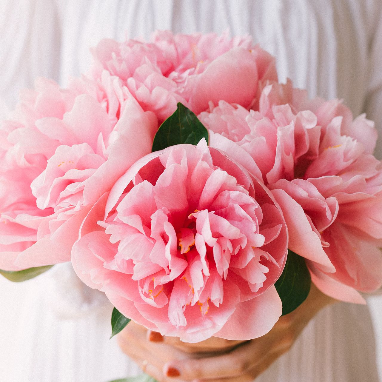 【ピエールバルマン】ラムレザー　ジャケット　ピンク　花柄　F ボタン ピエールバルマン】ラムレザー ジャケット ピンク 花柄 F ボタン