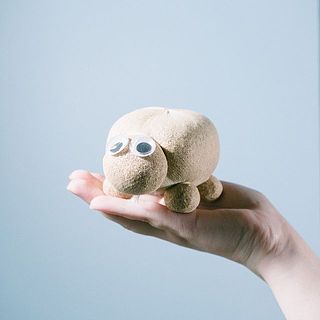 Donnie（サングラス）