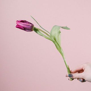 長さは25〜30cmで短いです。チューリップは茎が伸びてくるので成長をお楽しみください。