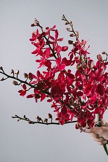 鮮やかなレッドにくぎづけ😍