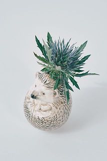 ぜひ色々なタイプの花を飾ってみて！写真はトゲトゲのエリンジウムとの組み合わせ。