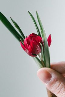 ミニミニサイズがかわいい！