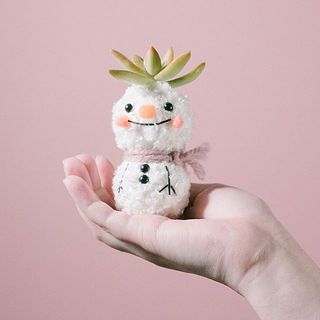 どの子が届くかお楽しみに！