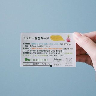 育て方の説明書付きです。