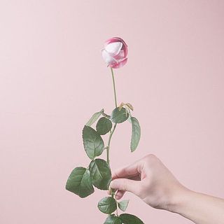 1輪のものと複数輪あるものをミックスでお届け。