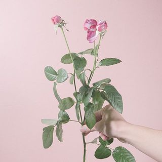 花付きには個体差があります。