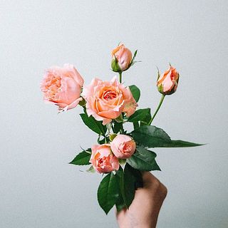 スプレー咲きの花はついている花の数に個体差があります。ご了承ください