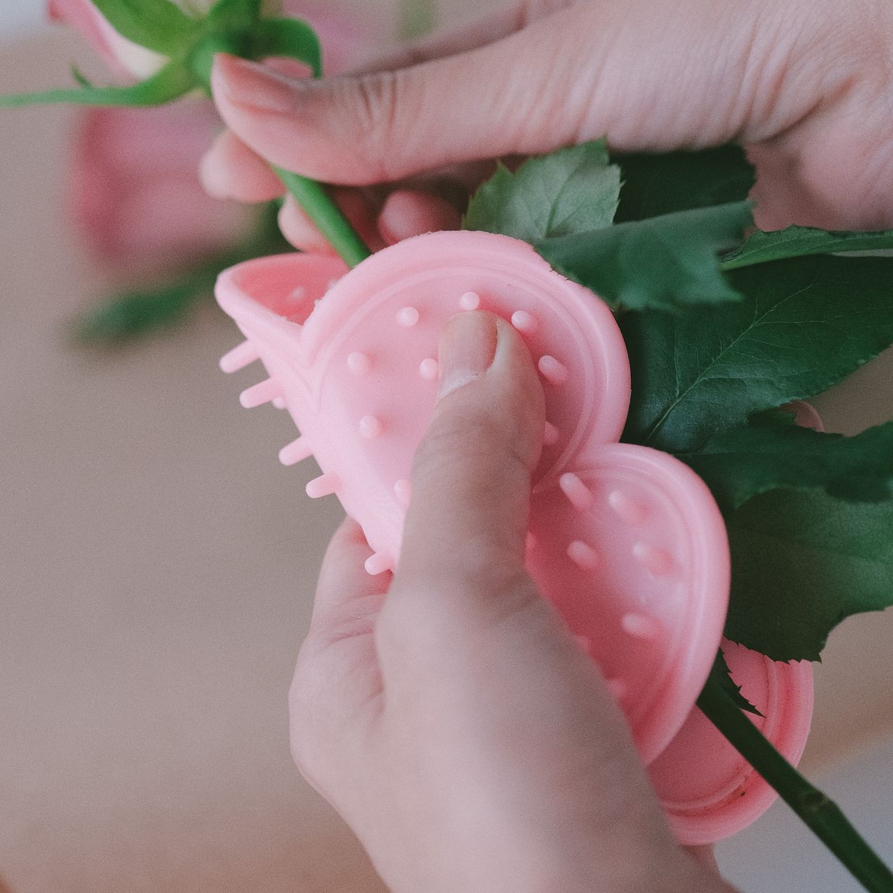 薔薇 増田バラ園名称未定ピンク品種 | 診療室のバラ