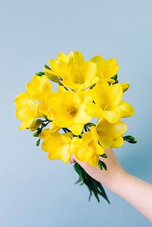 たっぷり10本お届け。