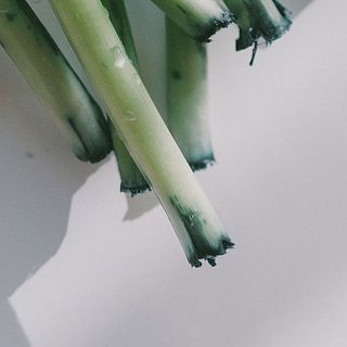 茎の先から染料が滲み出てくるので、衣類や家具につかないようご注意ください。