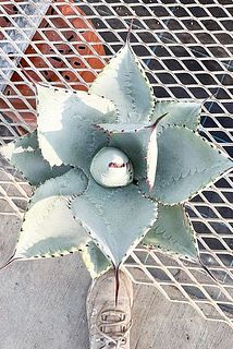small_c0e3f6c1-55c6-4d02-ae71-