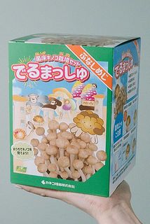 ぶなしめじの栽培キット