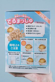 説明書付きなので初めてでも安心です！