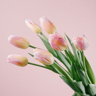 ピンクとアプリコットのグラデーションがかわいい💓