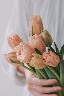 セピアチューリップ