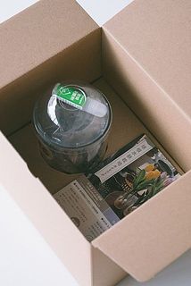 お届けイメージ。受け取ったら、すぐに球根入りのカップの封を開けてあげてください。