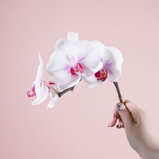 「ウェディングドレス」