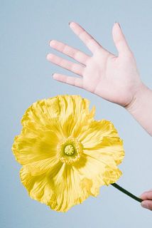 開花すると手のひらより大きいものも😲