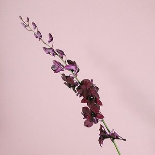 1本でも存在感があります。